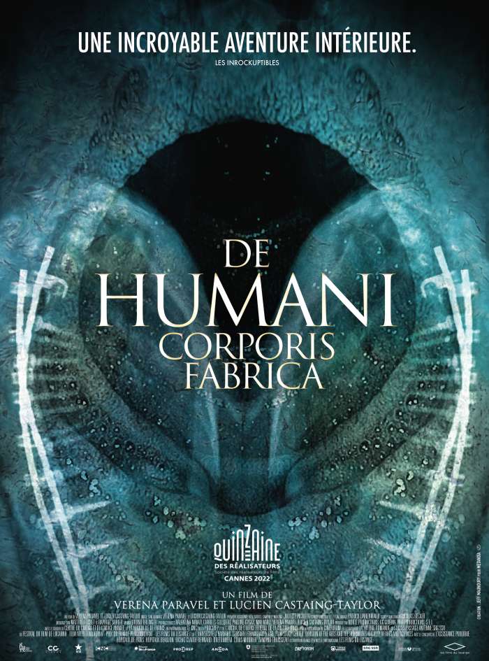 De Humani Corporis Fabrica thumbnail
